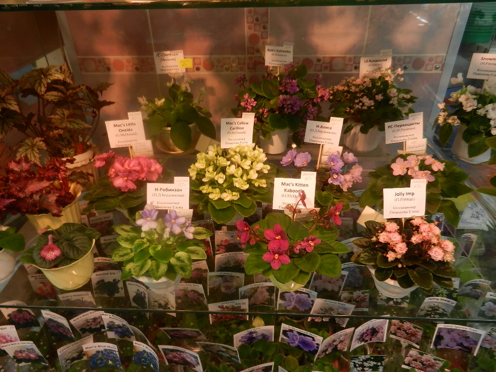 DSCN0446.JPG