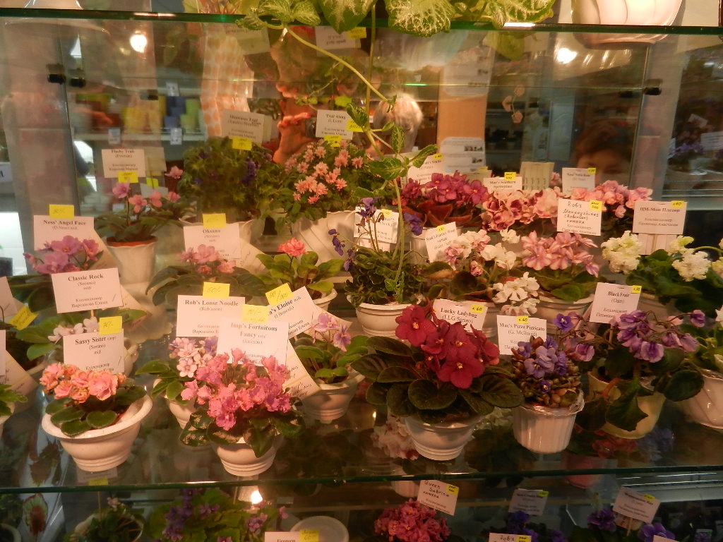 DSCN0447.JPG