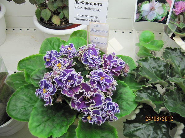 ЛЕ-Фанданго