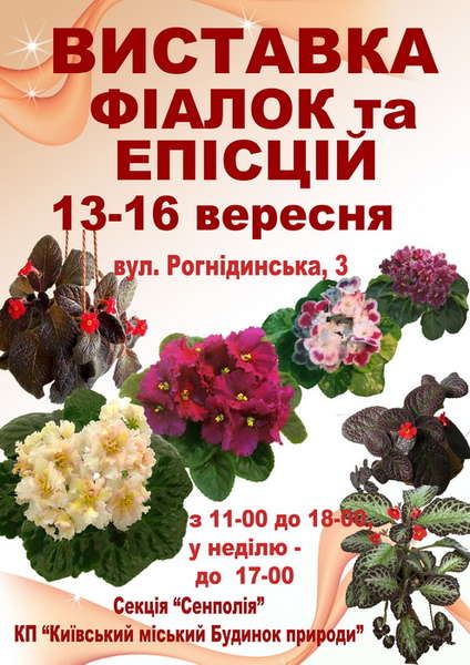выставка. сентябрь.jpg