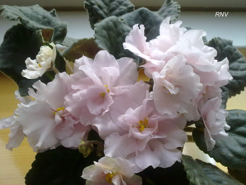 12042012174.jpg