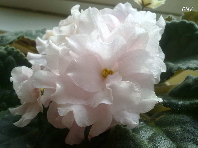 12042012175.jpg