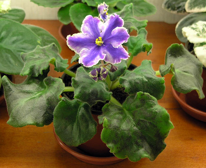 P9289478.JPG