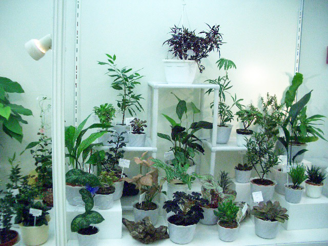 CIMG0144.JPG