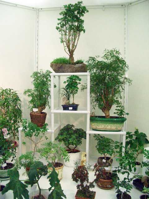 CIMG0145.JPG