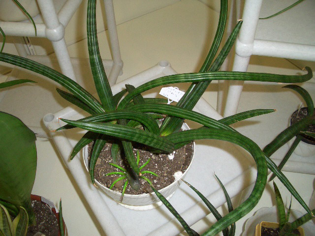 CIMG0113.JPG