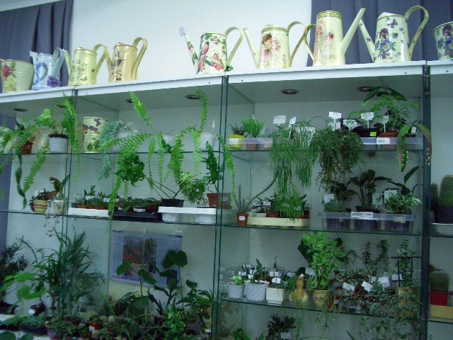 CIMG0174.JPG