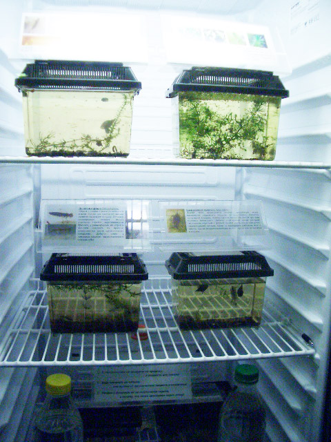 CIMG0197.JPG