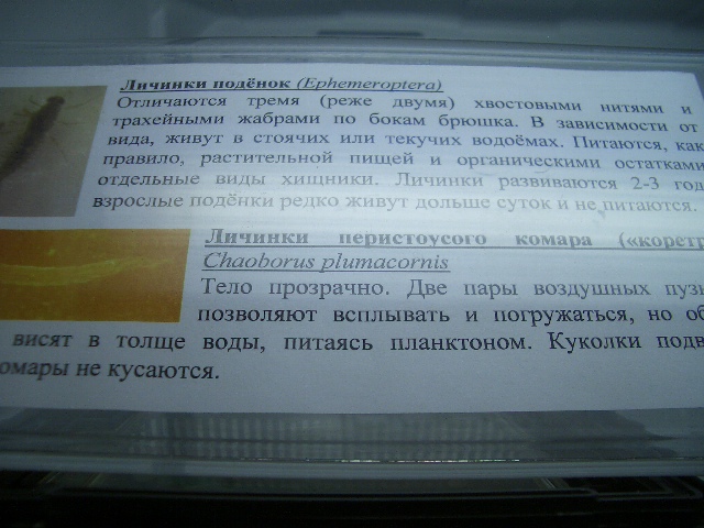 CIMG0195.JPG