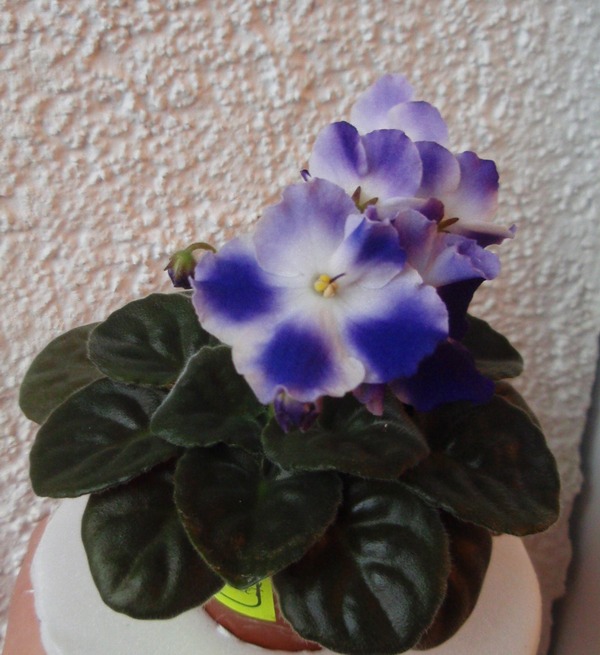 PB130840.JPG