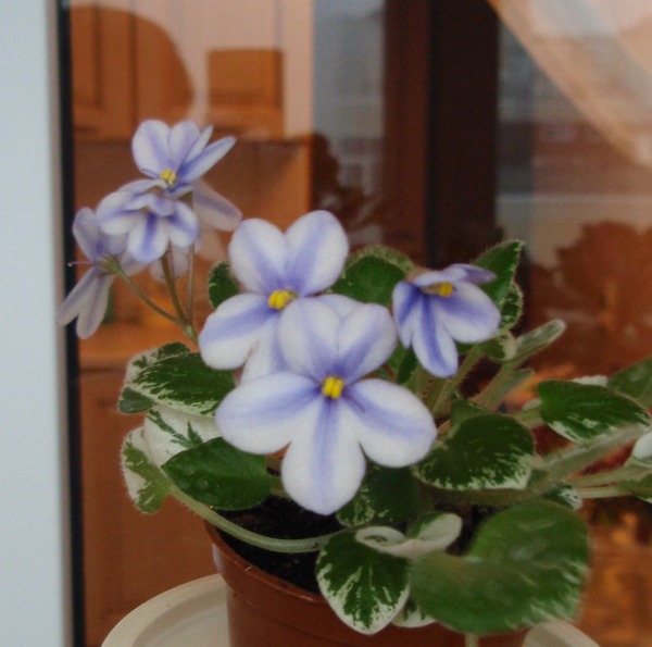 PB130844.JPG