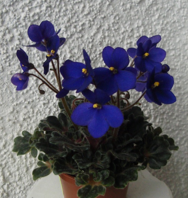 PB130848.JPG