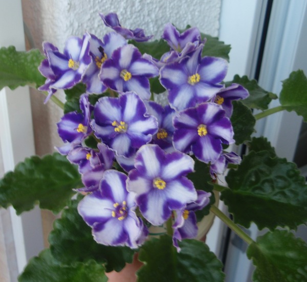 PB140871.JPG