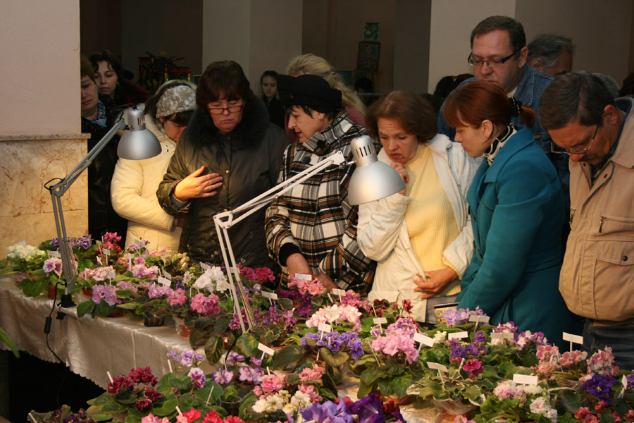 IMG_7380.JPG