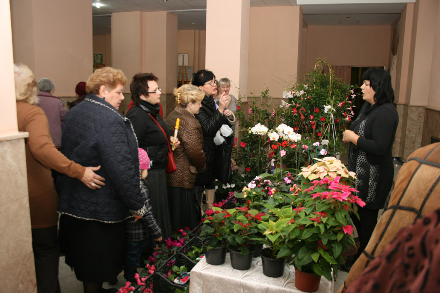 IMG_7379.JPG