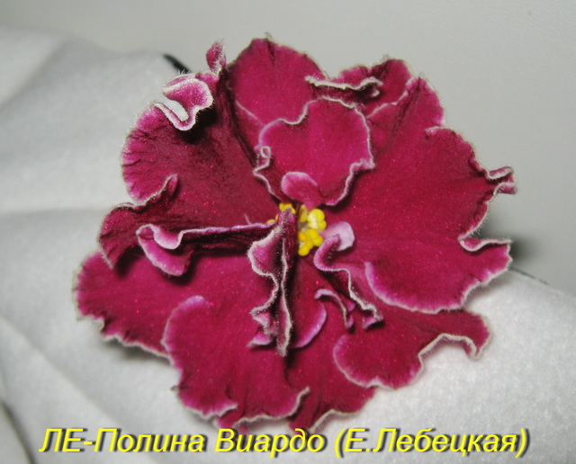 ЛЕ-Полина Виардо (новинка 2013).jpg