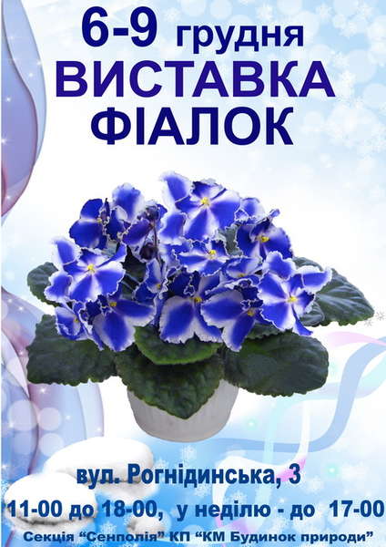 декабрь.jpg