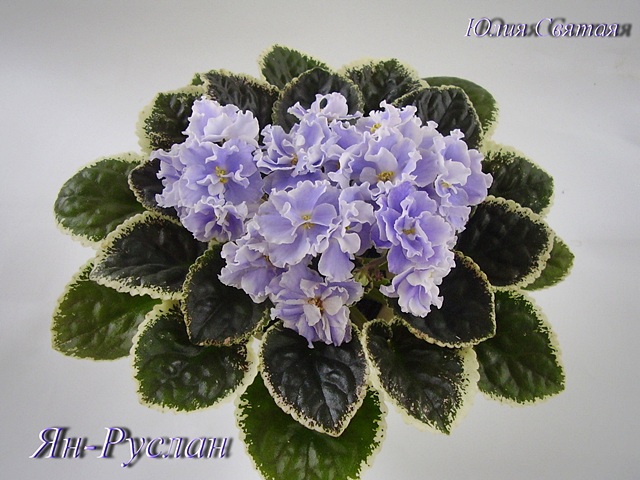 Ян-Руслан