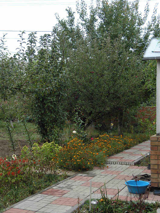 PA149581.JPG