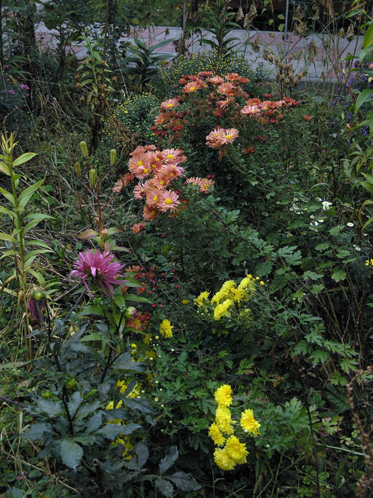 PA149580.JPG