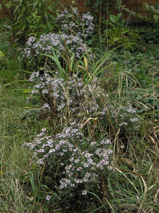 PA159634.JPG