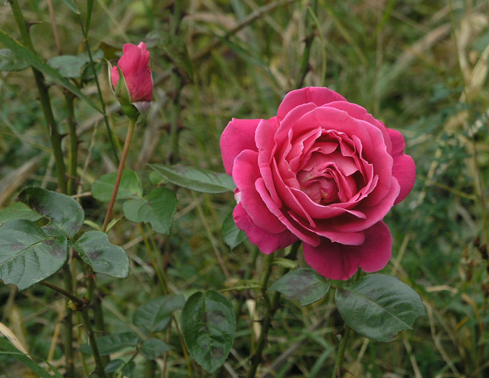 PA159633.JPG