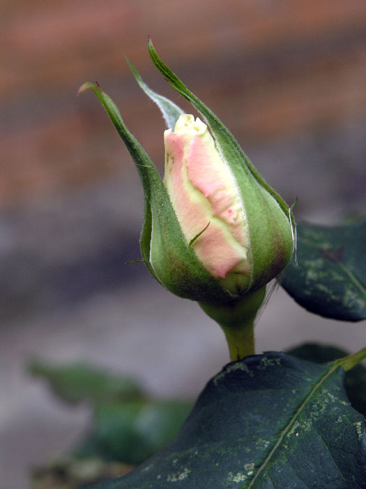 PA159638.JPG