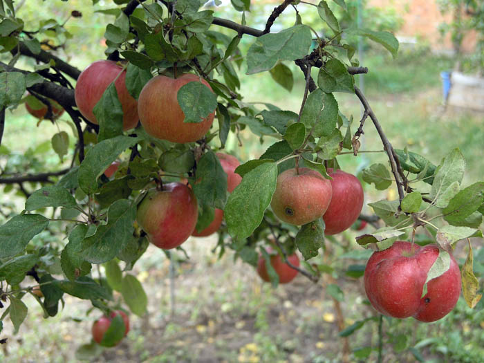 PA159649.JPG