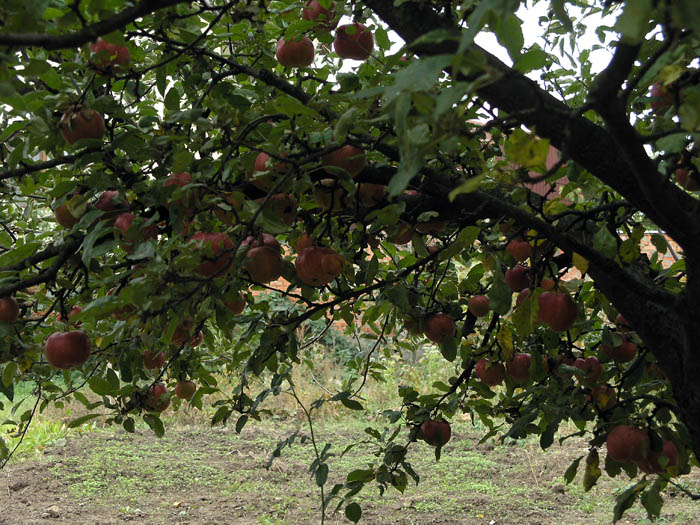 PA159648.JPG