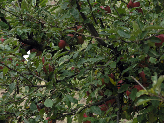 PA159630.JPG
