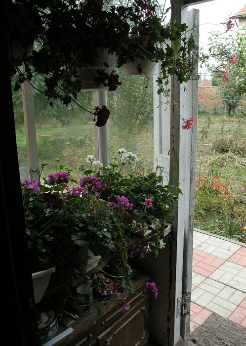 PA159629.JPG