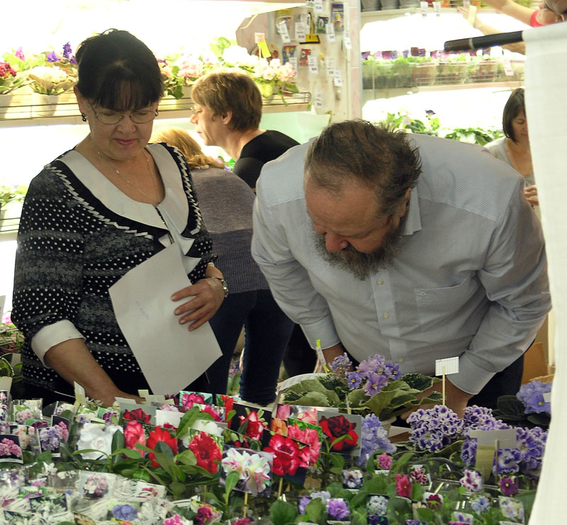 P1030843.JPG