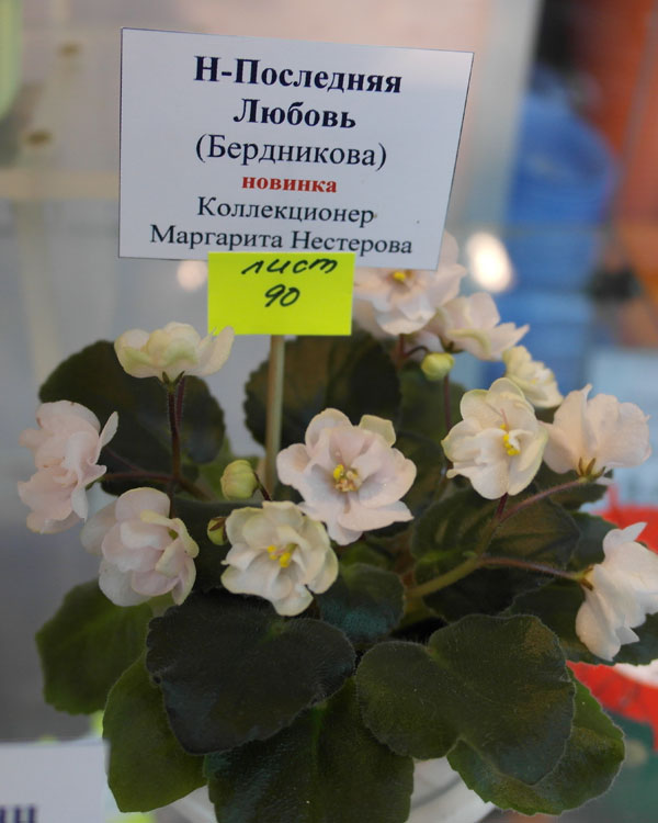 мини4.jpg
