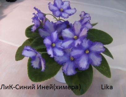 PICT0469.JPG