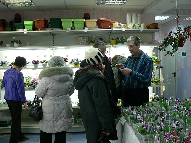 P1590489-1.jpg