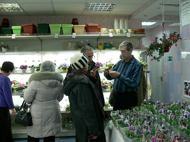 P1590488-1.jpg