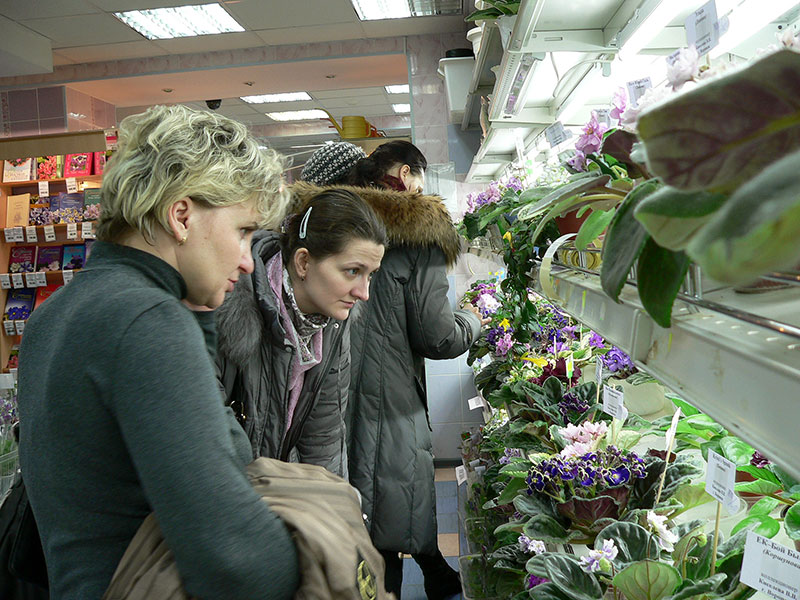 P1590494-1.jpg