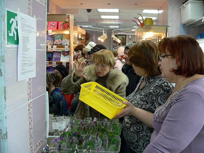 P1590501-1.jpg