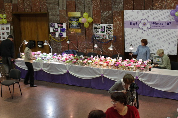 IMG_3780_resize.jpg
