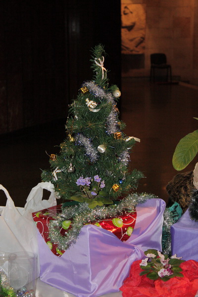 IMG_3767_resize_exposure.JPG