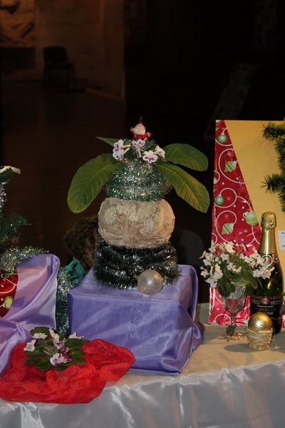 IMG_3768_resize_exposure.JPG