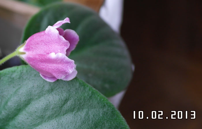 2013_02100088.jpg