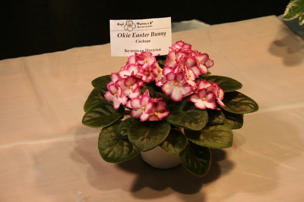 IMG_0630_exposure_resize.jpg