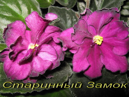 Старинный Замок3.jpg