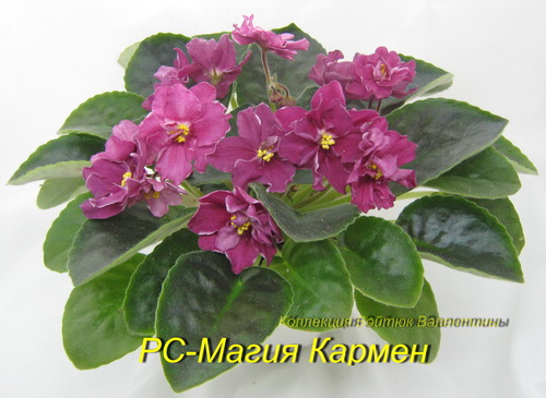 РС-Магия Кармен.jpg