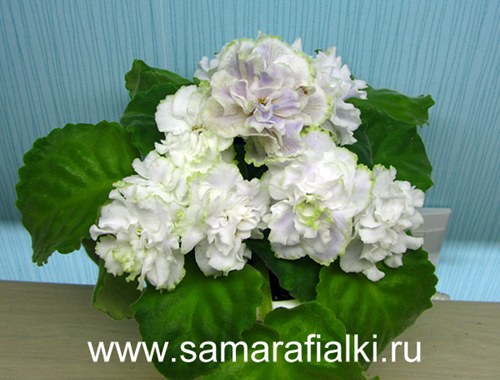Снегурочка_rs  4.jpg