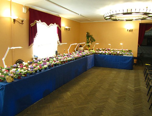 экпозиция Саниных_rs  4.jpg