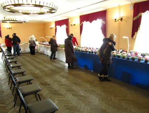 посетители 2_rs  4.jpg
