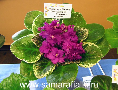 Margery’s Melody  выст_rs  4.jpg