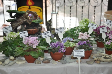 DSC_1006.JPG